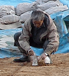 Fujimura's Divine Hands at Work