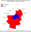 One of Florence Nightingale's "Coxcomb" Pie Charts